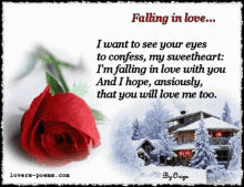 a poem about falling in love with a red rose in the background