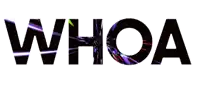 the word whoa is written in orange and black letters