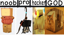 a collage of images with the words " noob pro hacker god " at the top