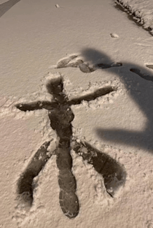 a shadow of a person is cast on a snowy surface