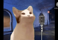 a cat is standing in front of a microphone in a dark room .