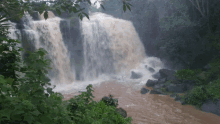 a waterfall is surrounded by trees and plants