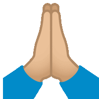 a person 's hands are folded together in a praying gesture