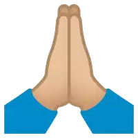 a person 's hands are folded together in a praying gesture