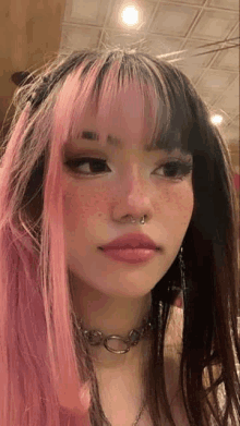 a girl with pink and black hair and a nose ring is wearing a choker .