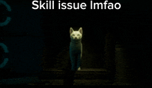 a white cat standing in a dark room with the words skill issue imfao below it