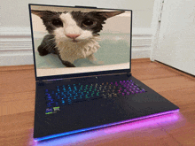 a laptop with a picture of a cat on it