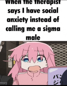 when the therapist says i have social anxiety instead of calling me a sigma male .