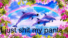 three dolphins are swimming in the ocean with a rainbow in the background and flowers .