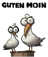 a cartoon of two seagulls standing next to each other with the words guten moin written above them