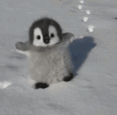 a stuffed penguin is laying on its back in the snow
