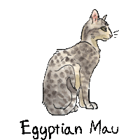 a drawing of an egyptian mau cat sitting on a white background