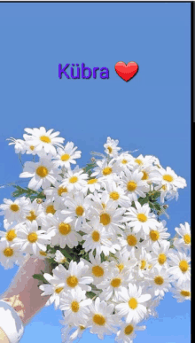 a person is holding a bunch of daisies with a heart and the word kübra above them