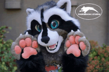 a raccoon mascot is standing in front of a building with his paws out .