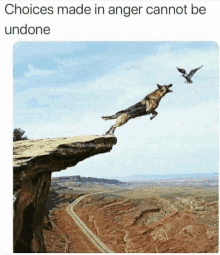 a dog jumping off a cliff with the words choices made in anger cannot be undone