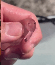 a close up of a person holding a piece of plastic in their hands .