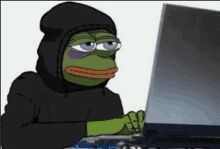 a frog in a black hoodie is typing on a laptop .