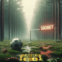 a soccer ball in the middle of a forest with a sign that says sbobet