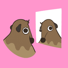 a mouse looking at itself in a mirror with a pink background