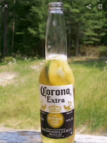 a bottle of corona extra beer with a slice of lime on it