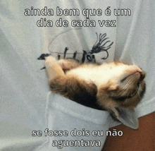 a cat is laying in someone 's pocket with a caption that says " ainda bem que e um dia de cada vez