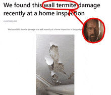 a page that says we found this wall termite damage recently at a home inspection with a picture of a termite