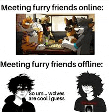 meeting furry friends online : meeting furry friends offline : so um wolves are cool i guess