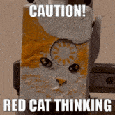 a picture of a cat with the words " caution red cat thinking " on it
