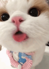 a close up of a cat with its tongue sticking out