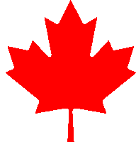 a red maple leaf with a stem on a white background