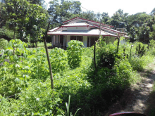 a white house with a red roof is surrounded by lots of greenery