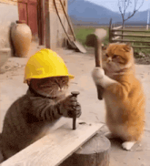 a cat wearing a hard hat is hammering a nail into another cat 's head