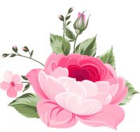 a pink flower with a red center and green leaves on a white background