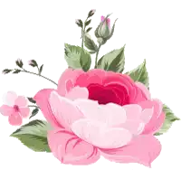 a pink flower with a red center and green leaves on a white background