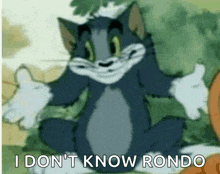 a picture of tom from tom and jerry with the caption i don 't know rondo