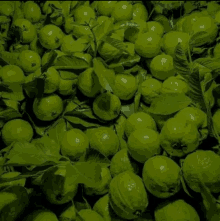 a bunch of green lemons with leaves are stacked on top of each other