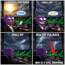 a purple frog is sitting at a desk looking at a computer screen with the words bounce confirmed on it