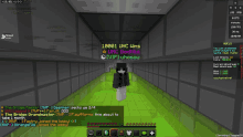 a screenshot of a minecraft game with a girl standing in the middle of a hallway