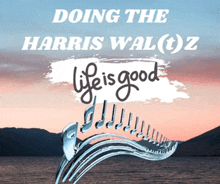 a poster that says " doing the harris wal ( t ) z life is good "