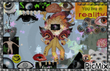 a collage of images with the words " you live in reality "