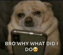 a dog is crying while looking at a cell phone with the words bro why what did i do below it