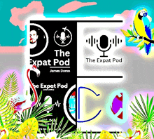 a poster for the expat pod with a flamingo and a parrot