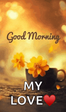 a picture of a cup of coffee with flowers and the words " good morning my love "