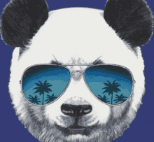 a panda bear is wearing sunglasses with palm trees reflected in them .