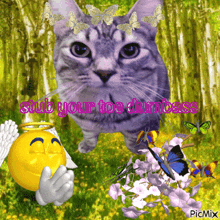 a picture of a cat with butterflies and the words " stub your toe dumbass " on it