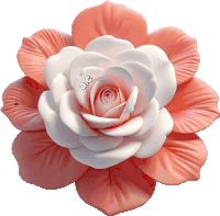 a pink and white rose with the letters ae on the center