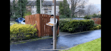 a man is carrying a tray of food on a pole