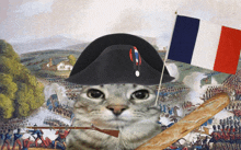 a cat is wearing a napoleon hat and holding a rifle