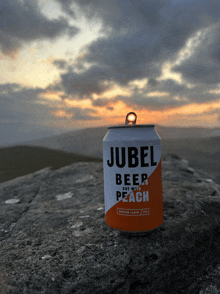 a can of jubel beer with peach sits on top of a rock