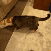 a cat is playing with a bag that says super paws on it